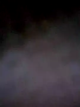 PracticalGum40 online show from December 4, 2024, 3:37 am