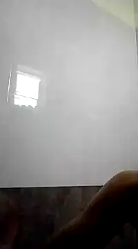 PracticalGum40 online show from December 22, 2024, 3:11 am