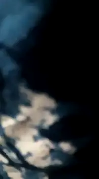 Sneha gril online show from February 26, 2025, 5:39 pm