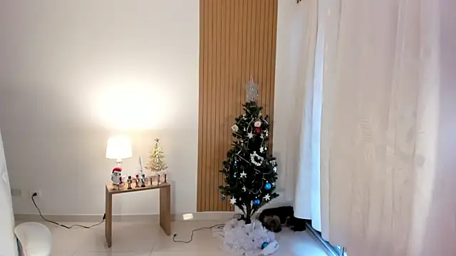  Sam sexy  online show from December 28, 2024, 9:08 pm