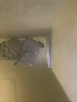 Snapshot of Tommy_y_Pamela chatting on February 17, 2026, 3:25 am Tommy y Pamela online show from February 17, 2026, 3:25 am