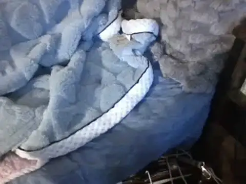 Snapshot of housewife_shantie chatting on March 7, 2025, 6:54 pm housewife shantie online show from March 7, 2025, 6:54 pm