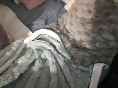 Snapshot of housewife_shantie chatting on March 15, 2025, 8:04 am housewife shantie online show from March 15, 2025, 8:04 am