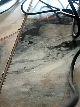 imissyoumylove14 online show from February 7, 2026, 7:56 am