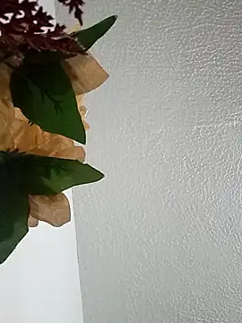 Naomy veracruz  online show from February 24, 2026, 10:02 am