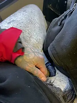 Fuckboy4public online show from December 29, 2024, 4:08 pm