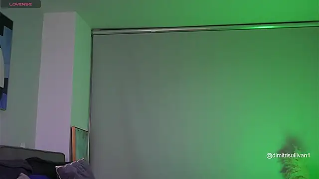DimitriSullivan  online show from December 8, 2024, 3:53 am