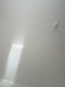 Morguisssz online show from November 20, 2025, 10:37 am