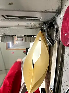 Mustafa-231 online show from November 28, 2025, 2:42 pm