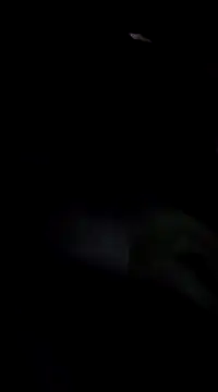 Eva Florence online show from February 19, 2025, 4:22 pm