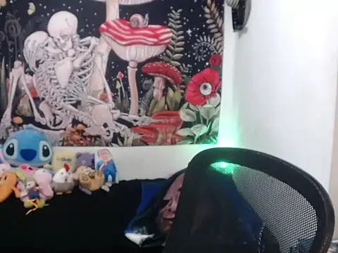 hachi kitty online show from April 3, 2026, 2:53 am