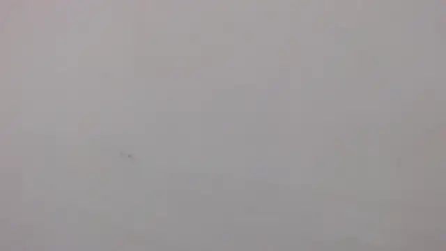 Snapshot of danilo302209 chatting on January 27, 2025, 3:07 pm danilo302209 online show from January 27, 2025, 3:07 pm