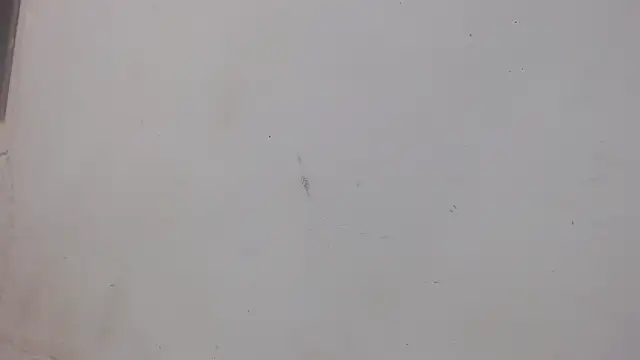 Snapshot of danilo302209 chatting on February 1, 2025, 1:02 am danilo302209 online show from February 1, 2025, 1:02 am