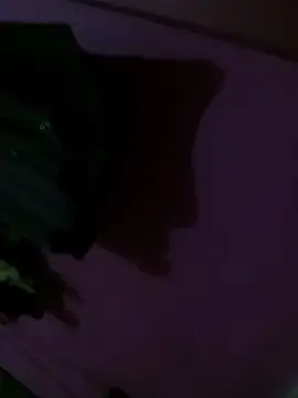 Mastar212 online show from December 2, 2025, 8:26 pm