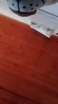 Snapshot of Darly_Gomez chatting on December 31, 2024, 4:46 pm Darly Gomez online show from December 31, 2024, 4:46 pm