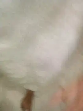 Bombi22 online show from December 30, 2024, 8:15 pm