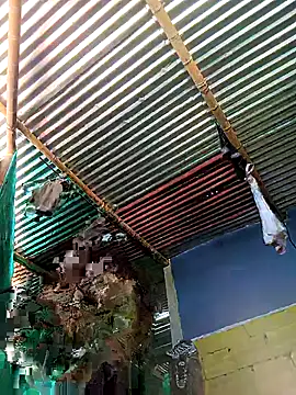 Snapshot of thamygomezz chatting on September 9, 2025, 4:39 pm thamygomezz online show from September 9, 2025, 4:39 pm