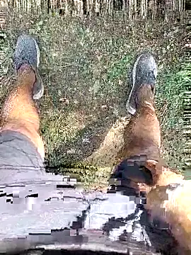 Snapshot of chootkapyasa007 chatting on October 13, 2025, 7:19 am chootkapyasa007 online show from October 13, 2025, 7:19 am