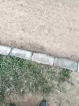 Snapshot of chootkapyasa007 chatting on October 16, 2025, 12:17 pm chootkapyasa007 online show from October 16, 2025, 12:17 pm