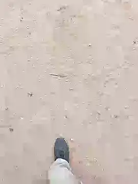 Snapshot of chootkapyasa007 chatting on October 30, 2025, 8:27 am chootkapyasa007 online show from October 30, 2025, 8:27 am