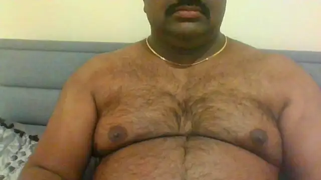 indianbearbot online show from January 26, 2025, 8:13 pm