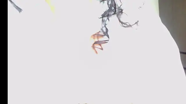 arianna ros3 online show from February 16, 2026, 2:18 am