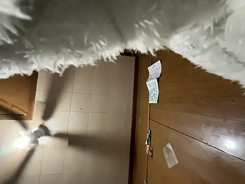 carmelbbyx22 online show from March 29, 2026, 12:38 pm