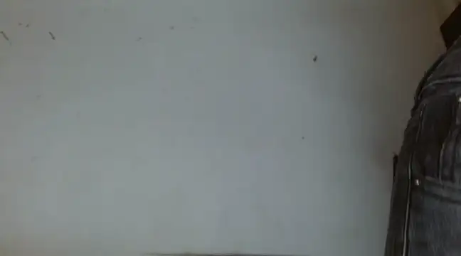  amira dalila online show from December 29, 2024, 3:24 pm