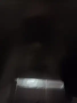 codysmith online show from October 30, 2025, 3:02 pm