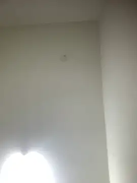 Snapshot of bidex002 chatting on May 16, 2026, 12:40 am bidex002 online show from May 16, 2026, 12:40 am