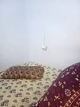 telugu indhu 0001 online show from February 14, 2025, 6:02 am