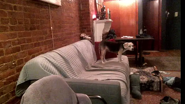 Johnny Bottoms online show from September 24, 2025, 11:19 pm