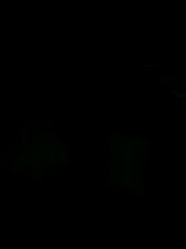 andreiwhite2  online show from December 18, 2025, 12:06 am