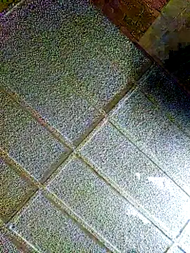 zaneporter46 online show from February 4, 2025, 8:59 pm