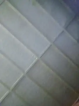 zaneporter46 online show from February 5, 2026, 6:12 pm