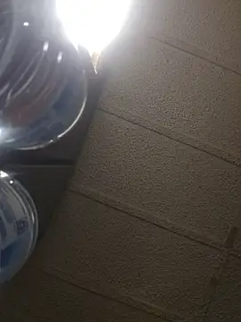 zaneporter46 online show from February 16, 2026, 5:36 am