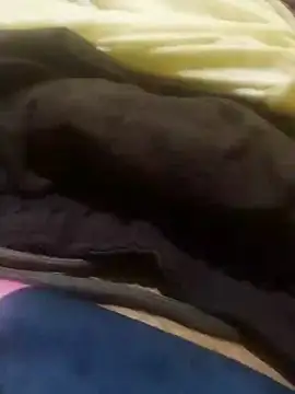 jarmesr7x online show from January 27, 2025, 2:42 am