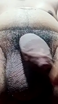 Arasu  online show from December 25, 2024, 1:31 am