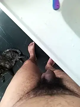 Arasu  online show from December 28, 2024, 11:41 am