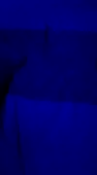 ddmgfkdmyf online show from March 18, 2025, 12:05 am