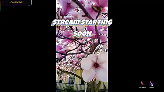 Hackensackneil online show from July 29, 2026, 9:24 pm