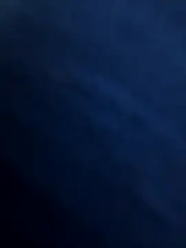 prnv00007 online show from December 27, 2024, 2:54 pm