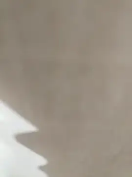 prnv00007 online show from January 1, 2025, 4:39 pm