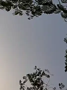 Whitehouse01 online show from December 29, 2024, 1:56 am