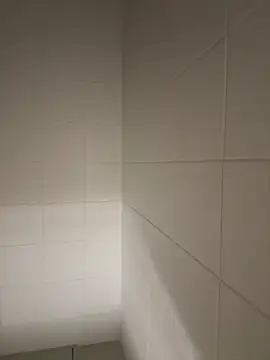 daixxyflorexxx online show from January 1, 2025, 12:33 pm