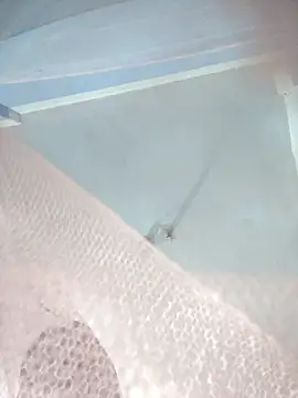 Snapshot of 124pakhi chatting on January 12, 2026, 3:17 pm 124pakhi online show from January 12, 2026, 3:17 pm