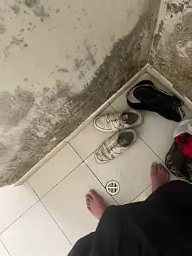 elflalope online show from November 4, 2025, 8:52 pm