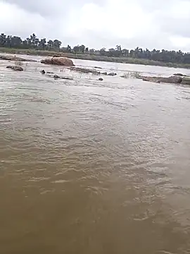 aryan 8051 online show from October 29, 2025, 5:31 am