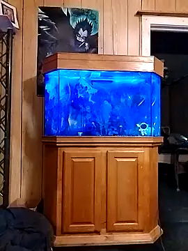 Rebeckalove online show from February 16, 2025, 1:49 pm