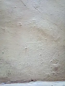 Pooja cut online show from January 27, 2025, 1:37 am